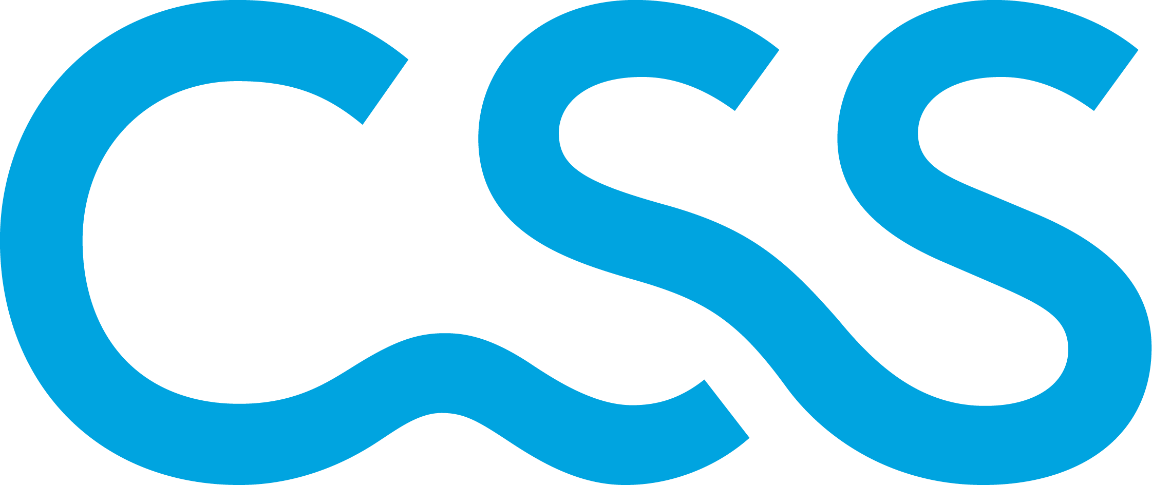 CSS Logo